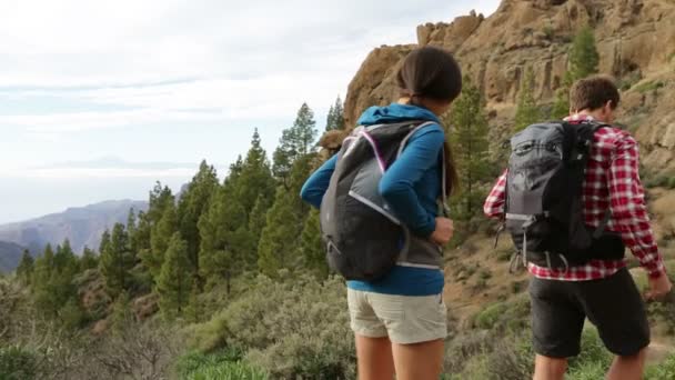 Hiking couple — Stock Video