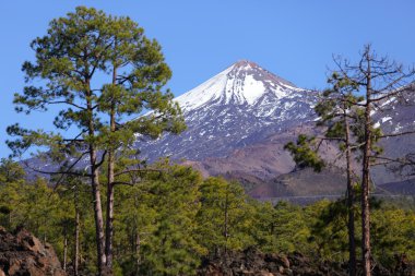 Teide national park clipart