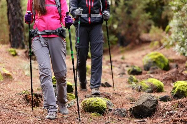 Wanderer wandern mit Stöcken im Wald — Stockfoto