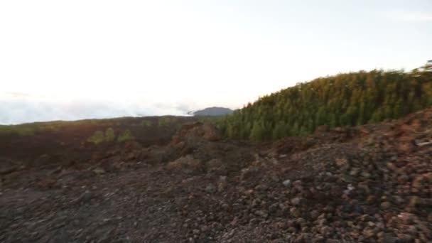 Escursionismo coppia alla ricerca paesaggio naturale — Video Stock