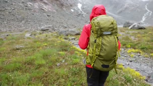 Mujer senderismo en la caminata en las montañas — Vídeos de Stock