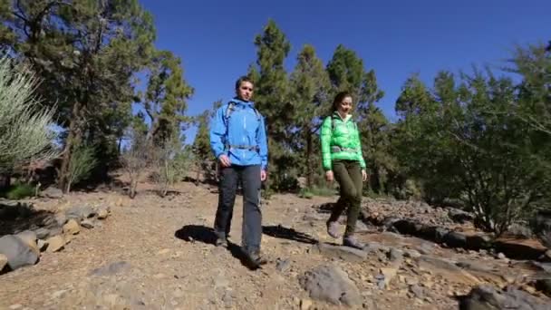 Caminhantes caminhando na floresta de montanha — Vídeo de Stock