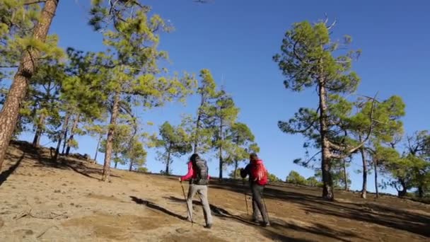 Gente trekking en caminata — Vídeo de stock