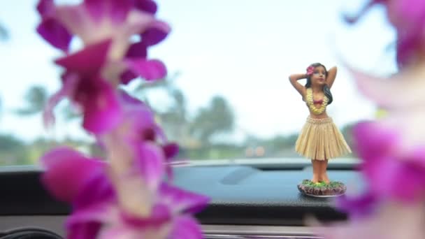 Hula pop op dashboard en lei — Stockvideo