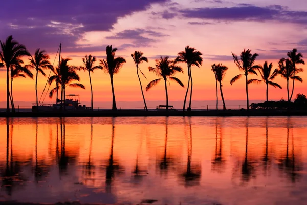 Paysage plage coucher de soleil avec palmiers — Photo