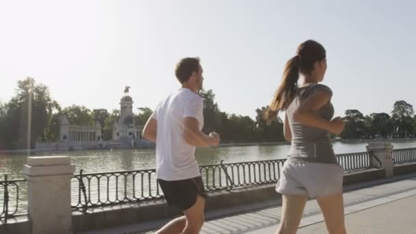 Coureurs qui courent dans le parc Madrid El Retiro — Video