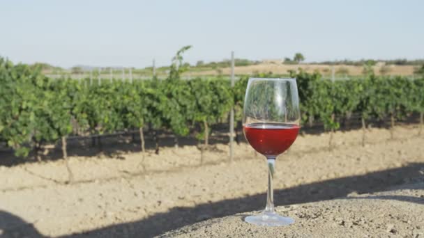 Copa de vino rosa en el viñedo — Vídeos de Stock