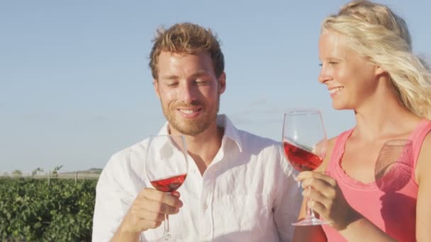Mensen drinken wijn buiten op wijngaard — Stockvideo