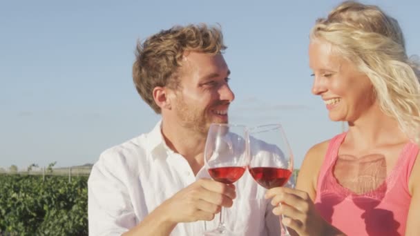 Пара пьет вино тост на винограднике — стоковое видео