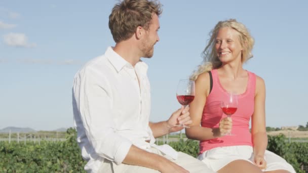 Couple boire du vin grillé au vignoble — Video