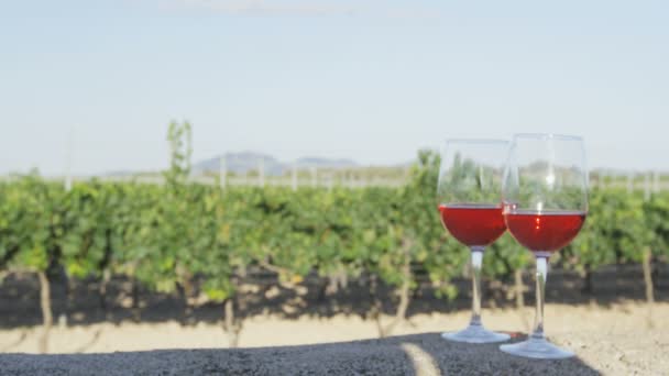 Бокал вина на винограднике заполнен — стоковое видео