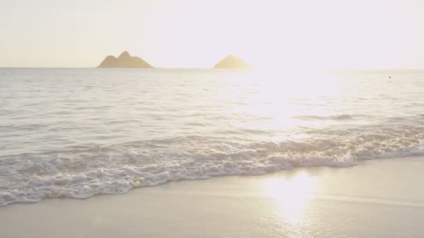 Пара тримає руки на заході сонця на пляжі — стокове відео