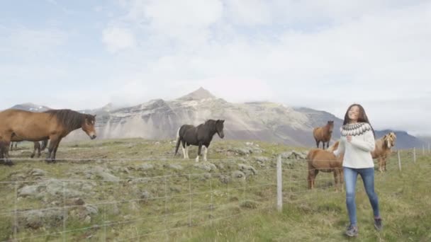 Cavalos islandeses e menina — Vídeo de Stock