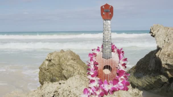 Ukulele a lei na pláži na Havaji — Stock video