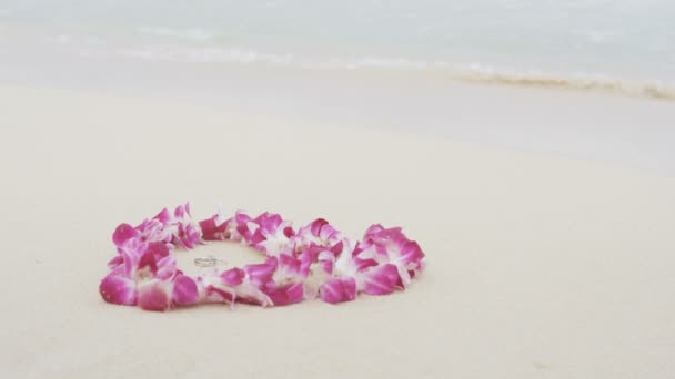 Wedding rings on beach — Stock Video