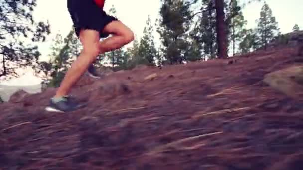 Hombre corriendo Hill Forest — Vídeo de stock