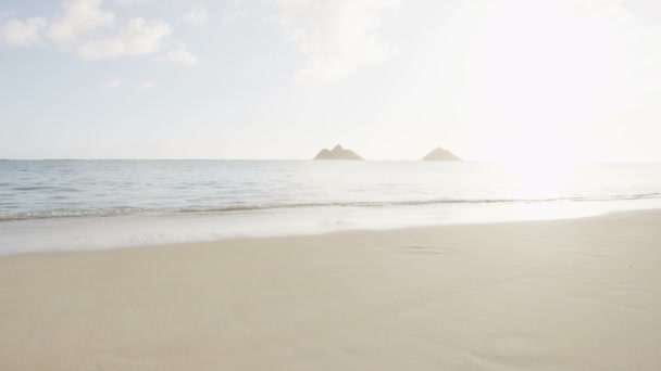 Frau und Mann meditieren am Strand — Stockvideo