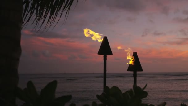 Fáklyák tűzzel és lángok égő Hawaii — Stock videók