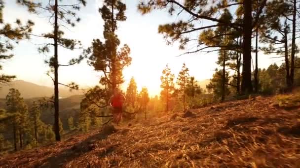 Corredor correndo subida na floresta — Vídeo de Stock