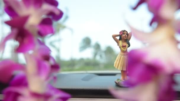 हुला लड़की डैशबोर्ड पर नृत्य — स्टॉक वीडियो