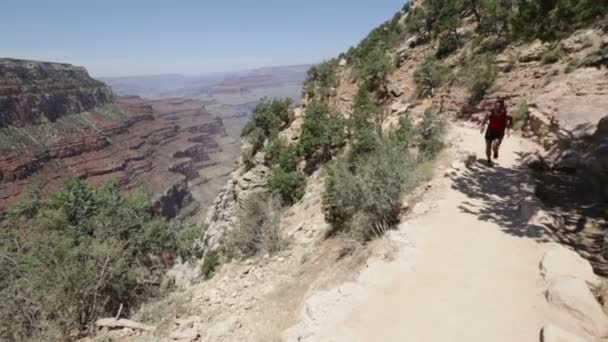 Corredor homem em corrida no caminho em Grand Canyon — Vídeo de Stock