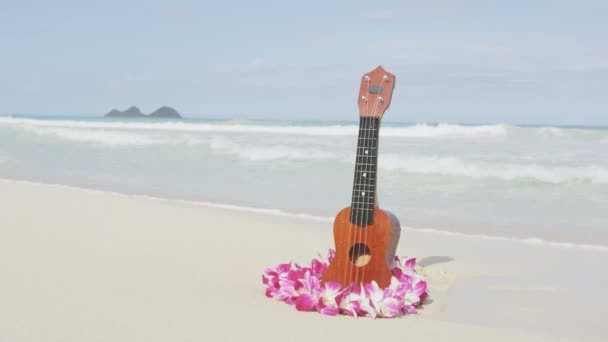 Ukulele ve Lei Hawaii sahilde — Stok video