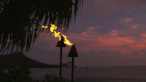 Fackeln entzünden Flammen auf Hawaii — Stockvideo