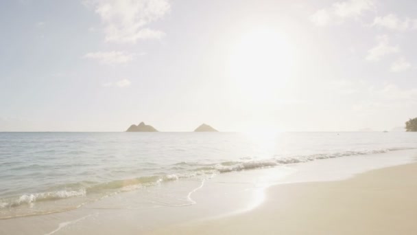 Woman and man meditating on beach — Stockvideo