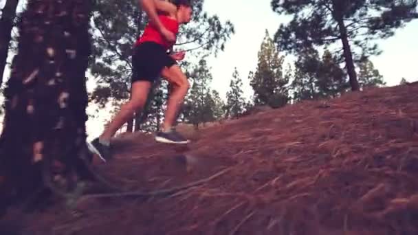 Running man trotando en el bosque — Vídeos de Stock