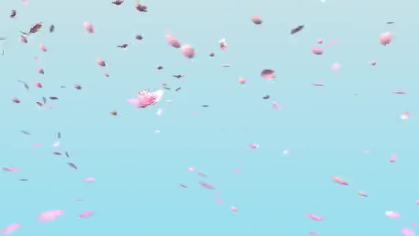 Animación Rosa Flor Cerezo Sakura Pétalos Flores Viento Con Capa — Vídeo de stock