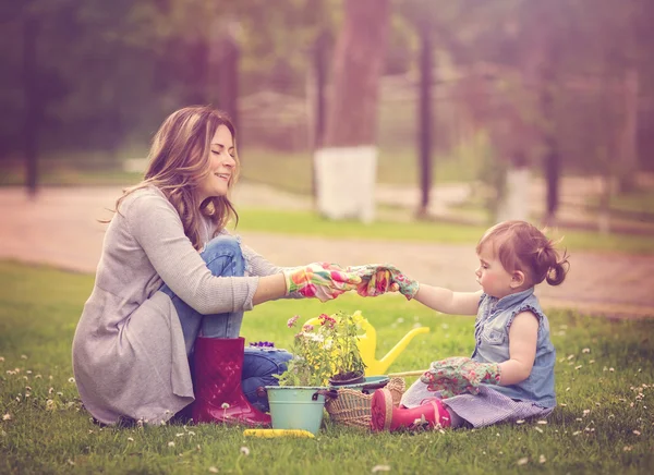 Giardinaggio scoperta e concetto di insegnamento — Foto Stock