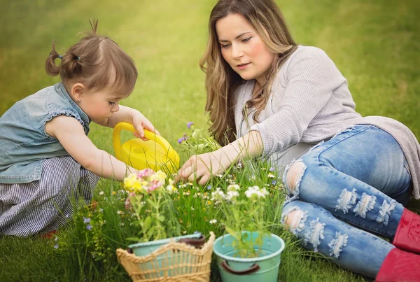 Gardening discovering and teaching concept — Stock Photo, Image