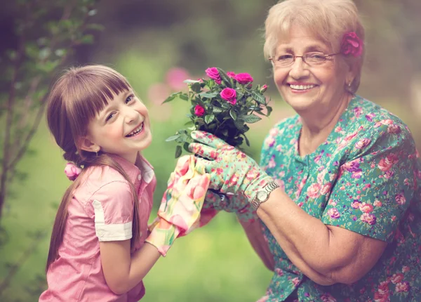 Trädgårdsskötsel, upptäcka och undervisning koncept — Stockfoto