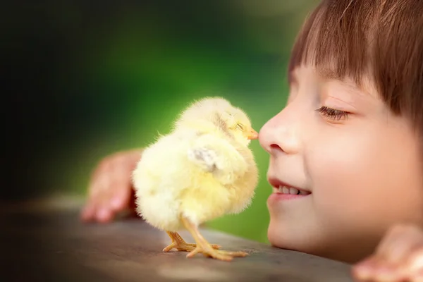 Meisje met haar kleine kip — Stockfoto