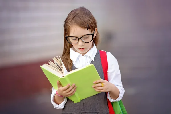 Skolflickor går i skolan — Stockfoto