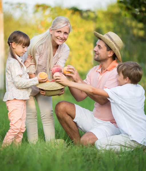 Jardinería, concepto familiar — Foto de Stock