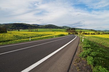Sarı çiçekli kolza tohumu alan kırsal manzara arasındaki boş asfalt yol