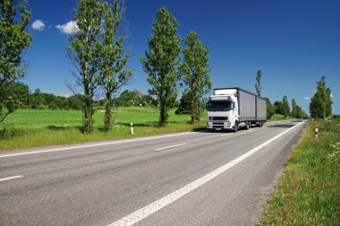 Beyaz kamyon geçen kırsal, sokakta kavak ile kaplı yol