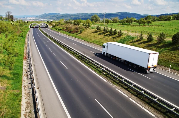 Gang snelweg met de overgang voor wilde dieren, de snelweg gaat wit vrachtwagen Stockafbeelding