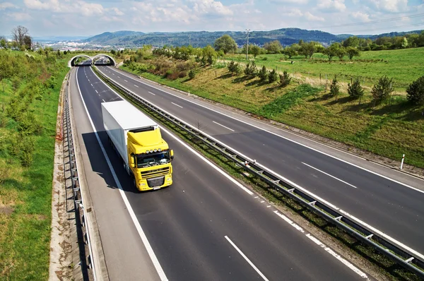 Gang snelweg met de overgang voor wilde dieren, de snelweg gaat gele vrachtwagen Rechtenvrije Stockafbeeldingen