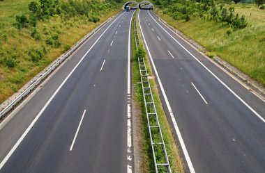 Koridor otoyol geçiş ecoduct altında geçen yaban hayatı, mavi kamyon ile