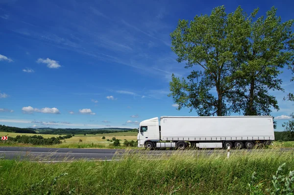 Landschap met witte truck op de weg Rechtenvrije Stockafbeeldingen