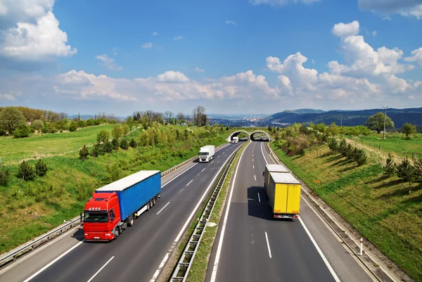 Gang snelweg met de overgang voor dieren, de snelweg rijden gekleurde en witte trucks Stockfoto