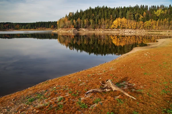 Lake in autumn landscape, on the bank of the wooden root — Stock Photo, Image
