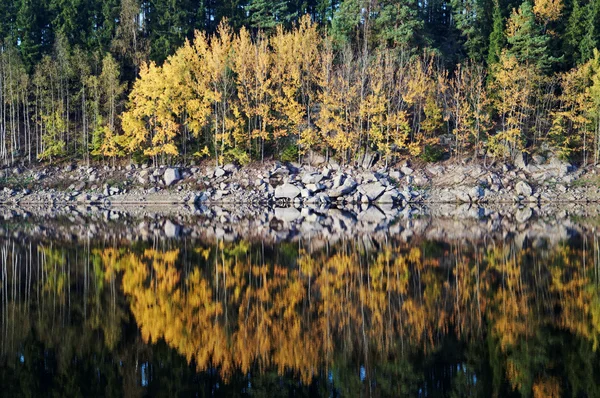 The rocky shore and trees in autumn colors reflecting on the lake — Stock Photo, Image