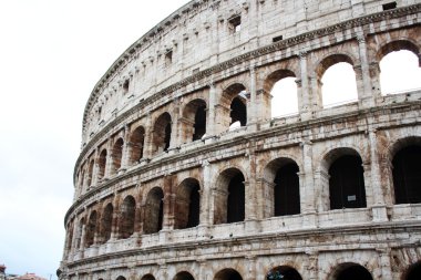 Coliseum (Colloseum) in Roma