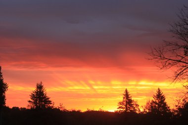 Güneş sabah ışınları