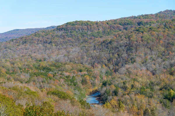 アーカンソー州北西部の秋の森の眺め ストック画像