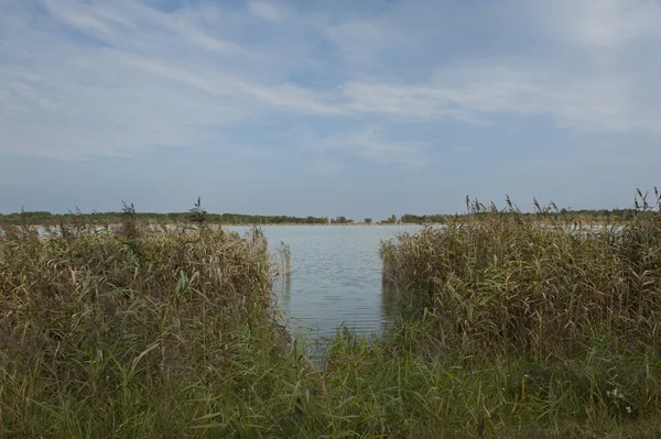 Lago — Fotografia de Stock