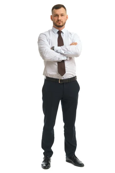 Businessman portrait isolated — Stock Photo, Image